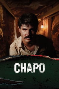 El Chapo Todas As Temporadas Dublado/Legendado Online