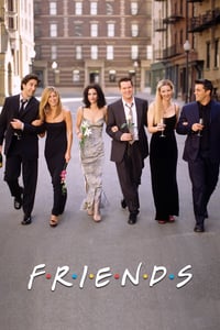 Friends Todas As Temporadas Dublado/Legendado Online HD 720p