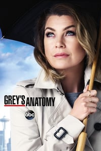 Grey's Anatomy Todas As Temporadas Dublado/Legendado Online HD