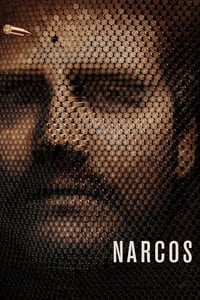 Narcos Todas As Temporadas Dublado/Legendado Online HD