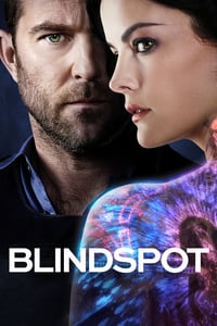 Ponto Cego Todas As Temporadas Dublado / Legendado Online Completo