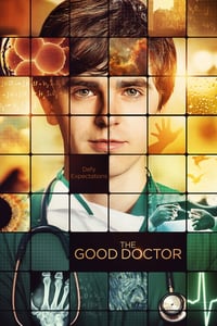 The Good Doctor Todas As Temporadas Dublado/Legendado Online HD 720p